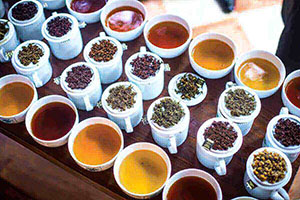 Try Ceylon Tea Tasting